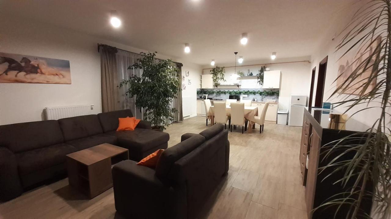 Bibic Apartman A Kapolnasnyek Eksteriør bilde