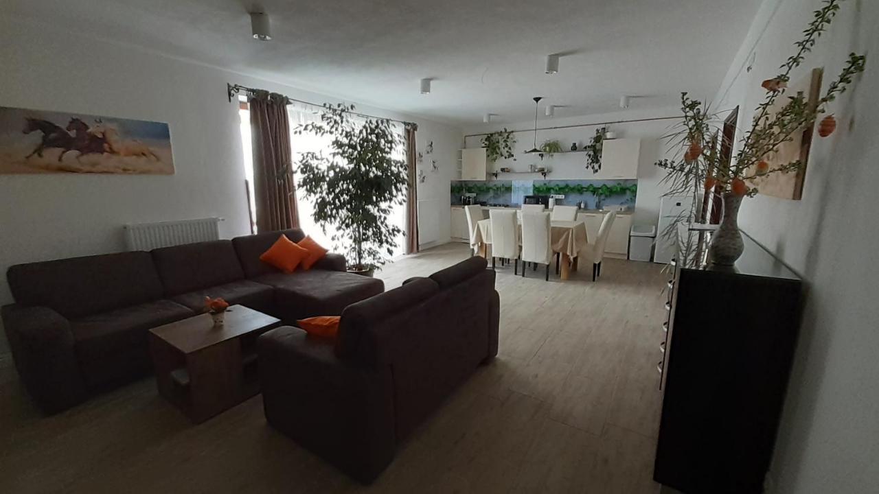 Bibic Apartman A Kapolnasnyek Eksteriør bilde